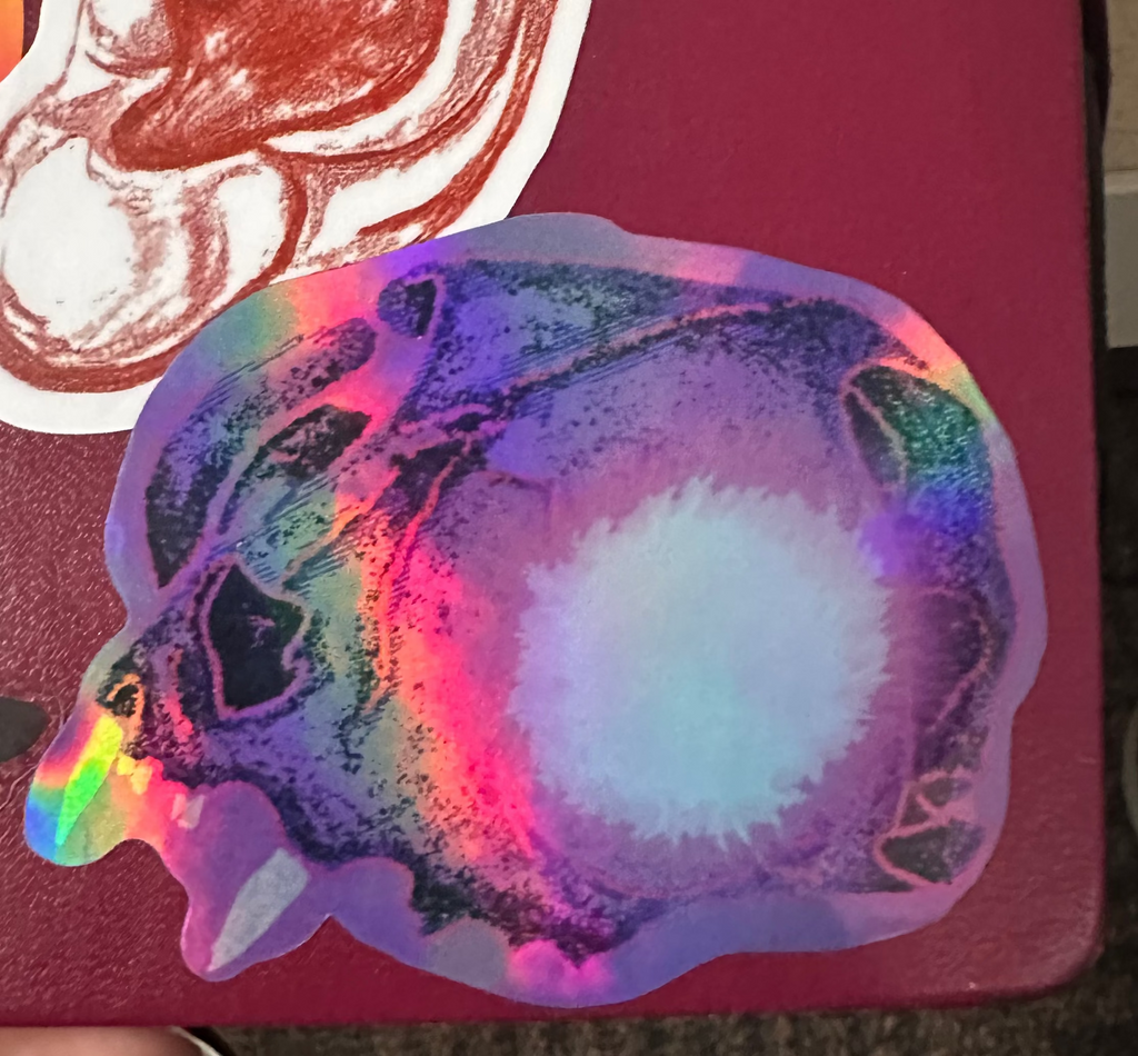 Seer Holographic Sticker