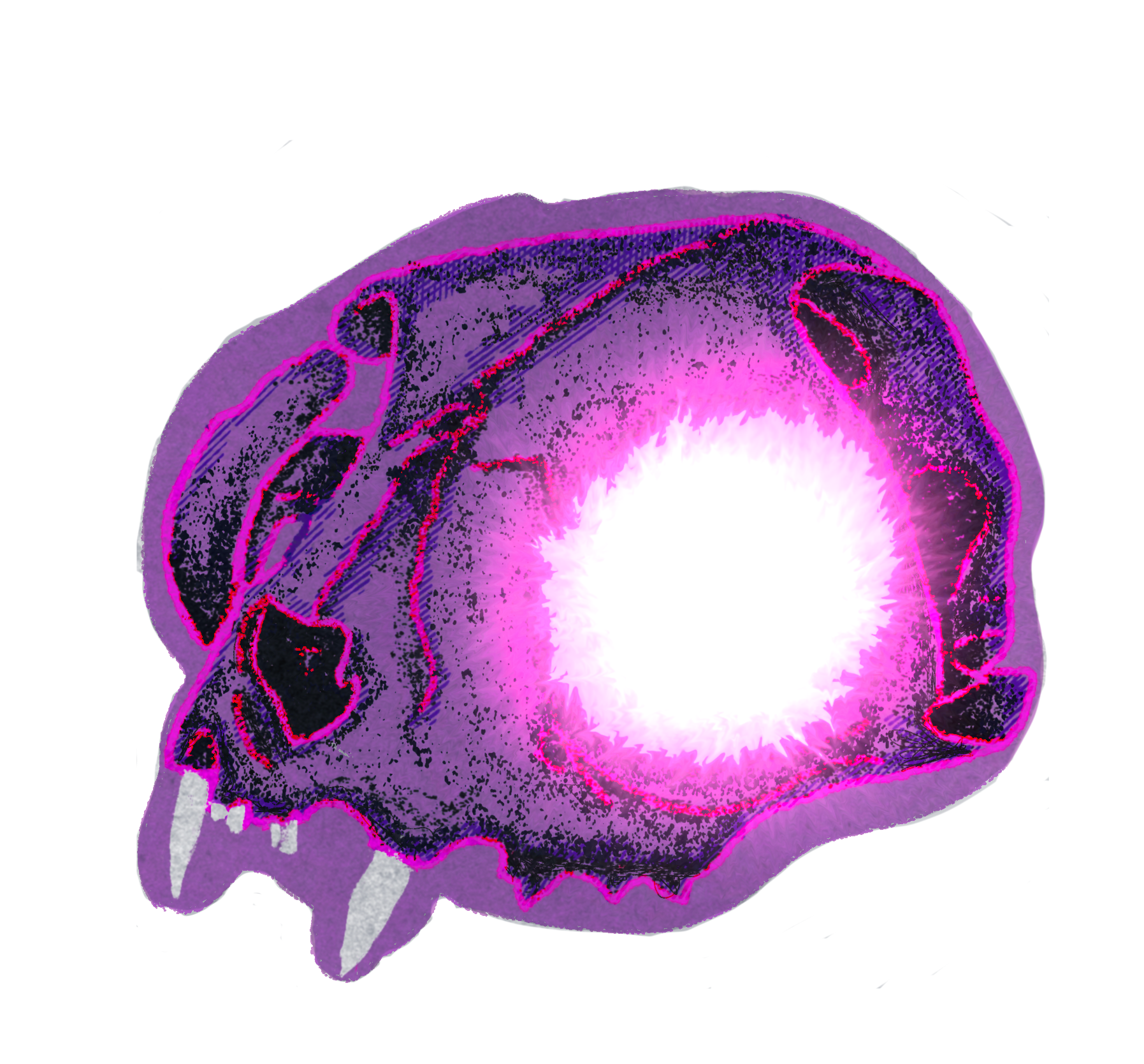 Seer holographicsticker