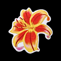 Bright Tiger Lily sticker