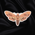 Death's-Head Hawkmoth sticker