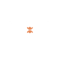 Beezlebee Editing Consultation
