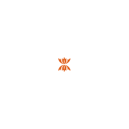 Beezlebee Editing Consultation