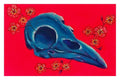 Bright-Rot Print